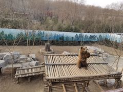 -济南野生动物世界