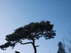 -妙峰山风景名胜区