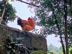-道教老君洞