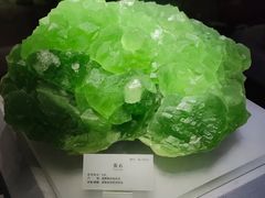 -湖南省地质博物馆