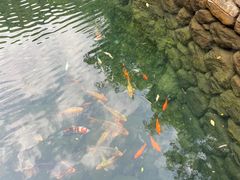 -桐庐海博大酒店中餐厅
