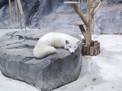 -海合安青岛极地海洋公园