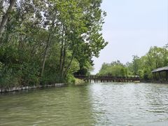 -溱湖国家湿地公园