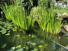 -凤凰山斑鱼馆(恭城店)