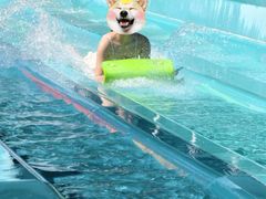 -欢乐水魔方水世界