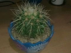 -湖南工业大学(主校区（河西校区）)