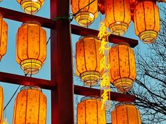 -青龙湖公园