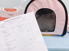-纳吉亚猫专科动物诊疗中心(蒋宅口分院)