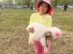 -泽成冰煮羊(非·遗东岸国际店)