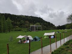 -武陵山森林公园