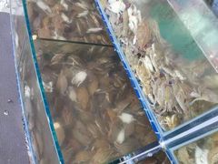 -蟹谢蒸鲜自助餐厅