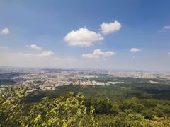 -紫金山山顶公园
