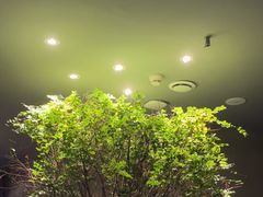 -森SPA·泰式按摩·精油Massage(宝安中心店)