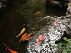 -广州白天鹅宾馆