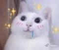 -幽雅阁·日系美甲美睫