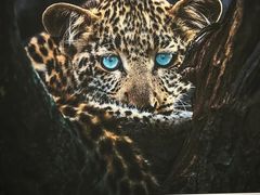 -罗红摄影艺术馆