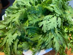 茼蒿-草原塞蛮羊火锅城(港湾店)