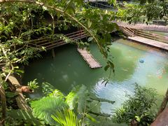 -海南槟榔谷黎苗文化旅游区