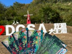 -九华秋浦胜境大王洞风景区