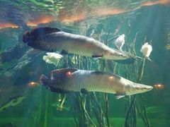 -华夏文旅西安度假区