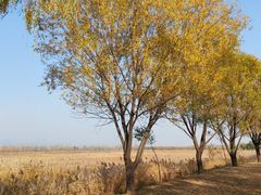 -野鸭湖国家湿地公园