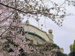 -武汉大学-樱园