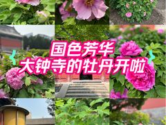 -大钟寺古钟博物馆