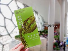 -上海自然博物馆