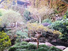 -中国茶叶博物馆(双峰馆区)