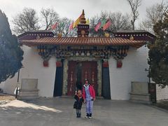 -罗布林卡