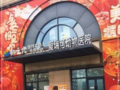 -瑞派·爱瑞可动物医院·口腔专科(广华新城分院)