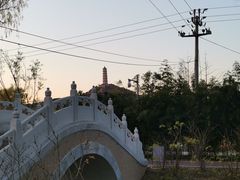-北坞公园