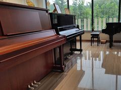 -刘健艺术钢琴学校·专注钢琴教育25周年(徐家汇校区)