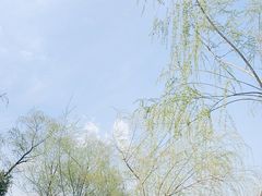 -元祖食品GANSO(星沙店)