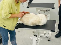 -comecome来吧宠物(奥克斯中心店)