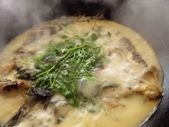 -岩泊渡桂鱼楼活鱼馆
