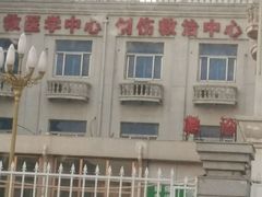 -中国人民武装警察部队特色医学中心