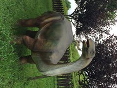 iphone_upload_pic-自贡恐龙博物馆