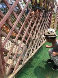 -萌宠亲子动物乐园(槐房万达店)