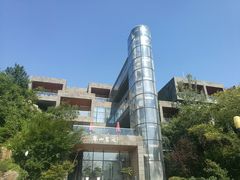 -羊山湖公园