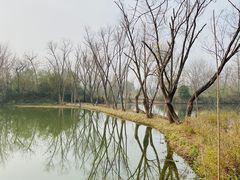 -西溪国家湿地公园