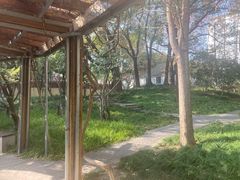 -徐家汇源景区-衡山公园