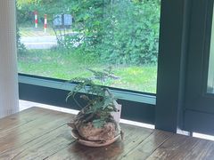 -BUND·FIVE外滩5号(天际店)