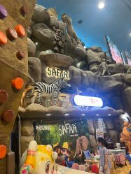 -卡通尼·Safari非洲探索乐园·生日会(金桥国际商业广场店)
