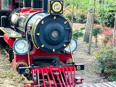 -合肥滨湖国家森林公园