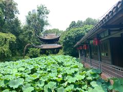 -三苏祠