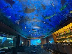 -海游荟·海洋文化餐厅(福田店)