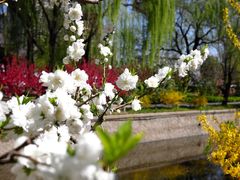 -元大都城垣遗址公园