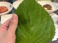 -朴大人炭烤·韩国料理(奥帆中心海尔洲际店)