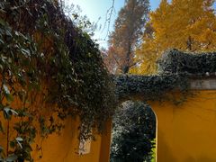 -苏州上方山国家森林公园